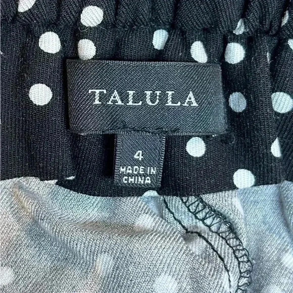 Aritzia -  Talula Shorts - Picture 4 of 6